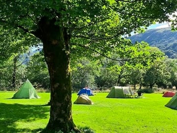 Camping field