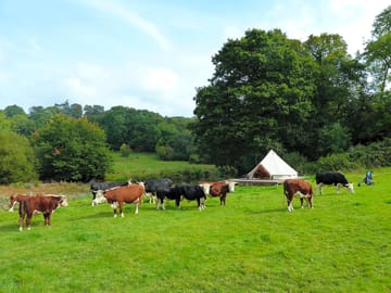 Derwen bell tent with visitors around