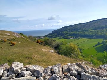 Mynydd marian local nature reserve