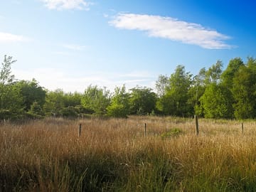 Meadow pitches surrounded by unspoilt landscape