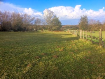 Pitch field