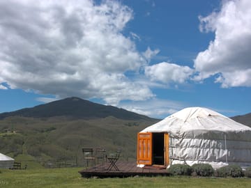 Yurt