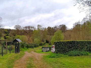 Site views