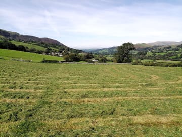 Silage time in summer