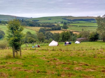 Tent camping in the meadow