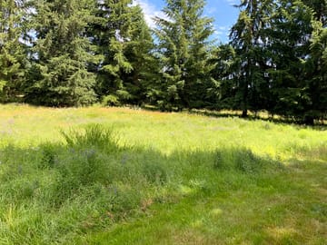 Open fields with wildflowers from june to july