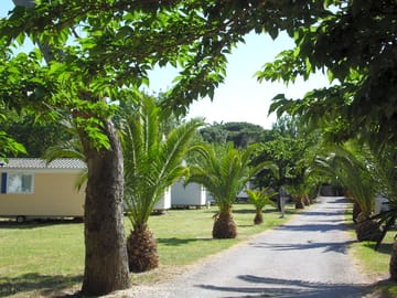 Around the site