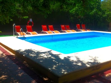 Pool and poolside loungers