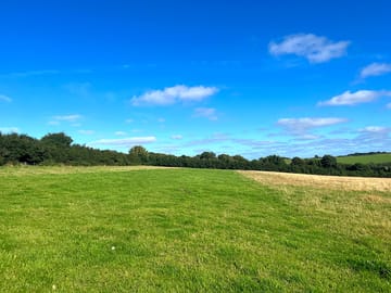 Grass pitches