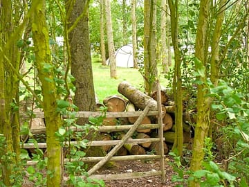 Woodpile