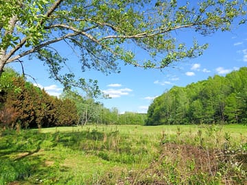 Grass field
