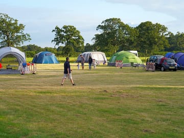 The field