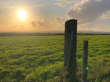 Local walks