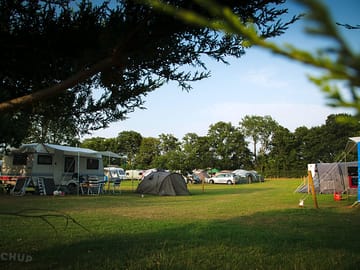 Tree-lined camping area