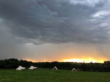 Sunset over the field