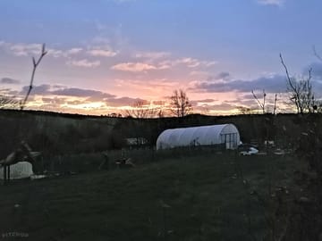 Sunrise over the flower farm