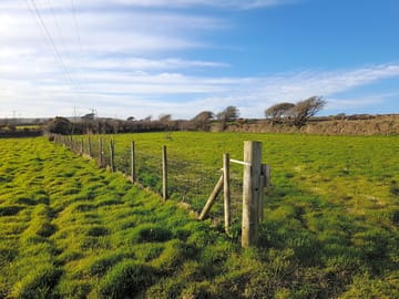 Top field