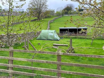 The site
