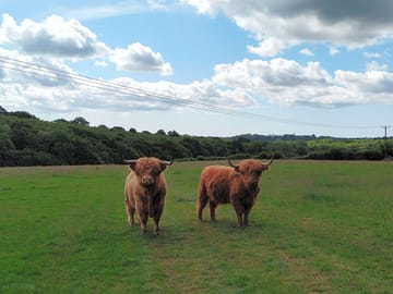 On the farm
