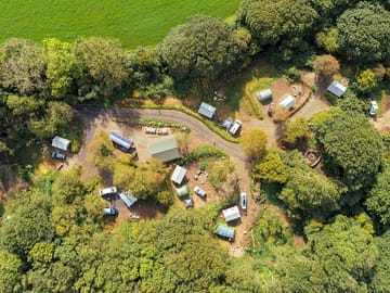 Dragonfly campsite