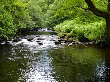Great pool for swimming and fishing