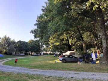 Pitch among the trees