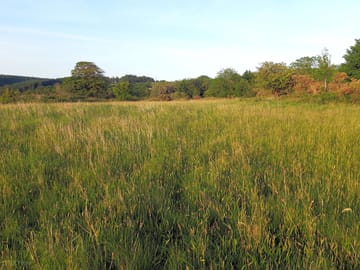 Pitching meadow 2 with a valley view