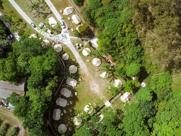 Site tucked among greenery