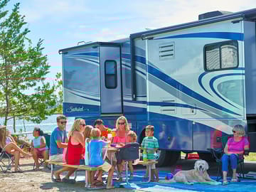 Spacious pitches with room for all the family - and dog