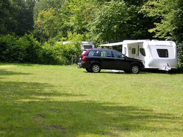 Spacious pitches with shade from the trees