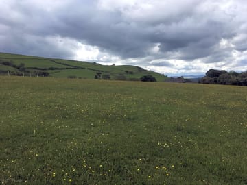 Rural views