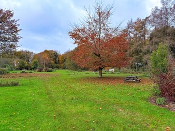 Pitching area in autumn