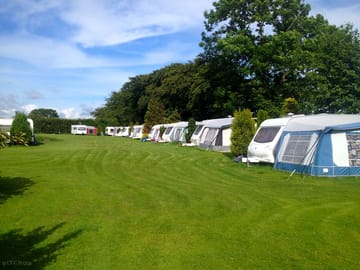 Summer at the site