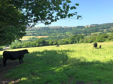 Local countryside