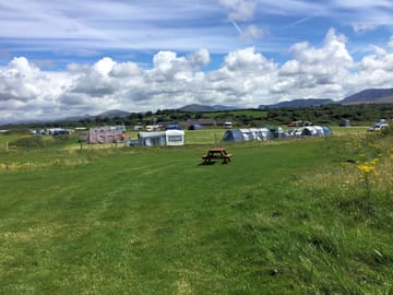 Grassy site