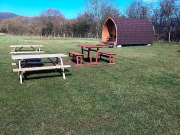 Picnic benches