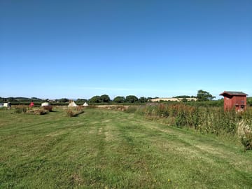 Site views