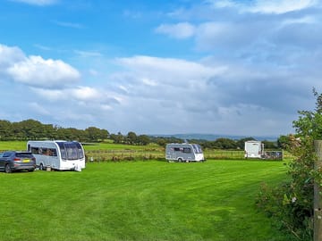 Grass pitches
