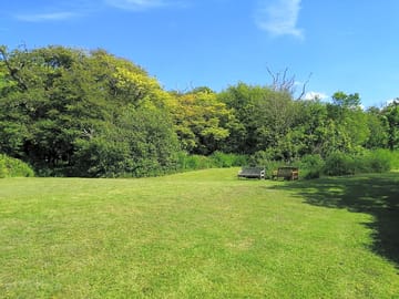 Meadow area