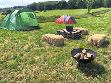 The field setting