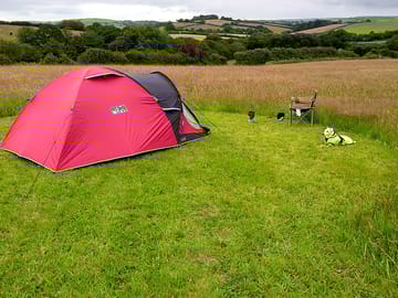 Grass pitch in the meadow.
