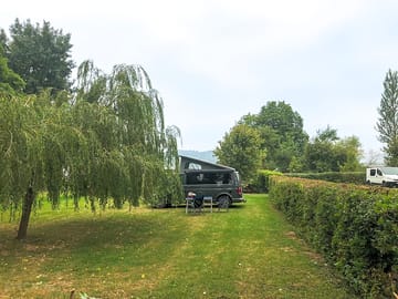 Secluded spot by the willow tree