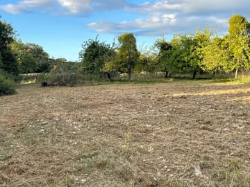 Grass mulching in the orchard