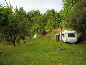 Pitches surrounded by trees