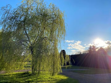 Evening sun on our meadow brook field. hardstanding and grass electric pitches.