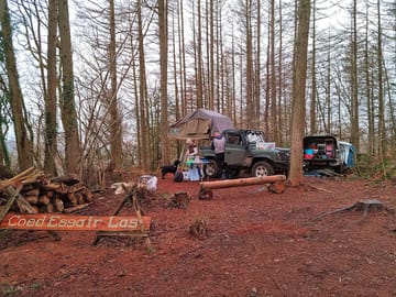 Forest floor pitches