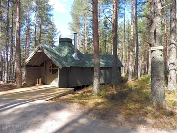 Beekeepers bothy set in pine trees