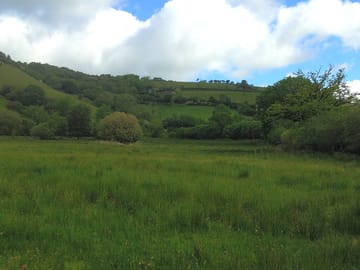 The bank