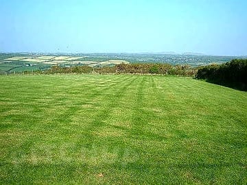 Electrical pitches along hedgrow