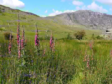 Walks for all abilities are in the valley and surrounding area